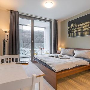 Appartement met een Slaapkamer
